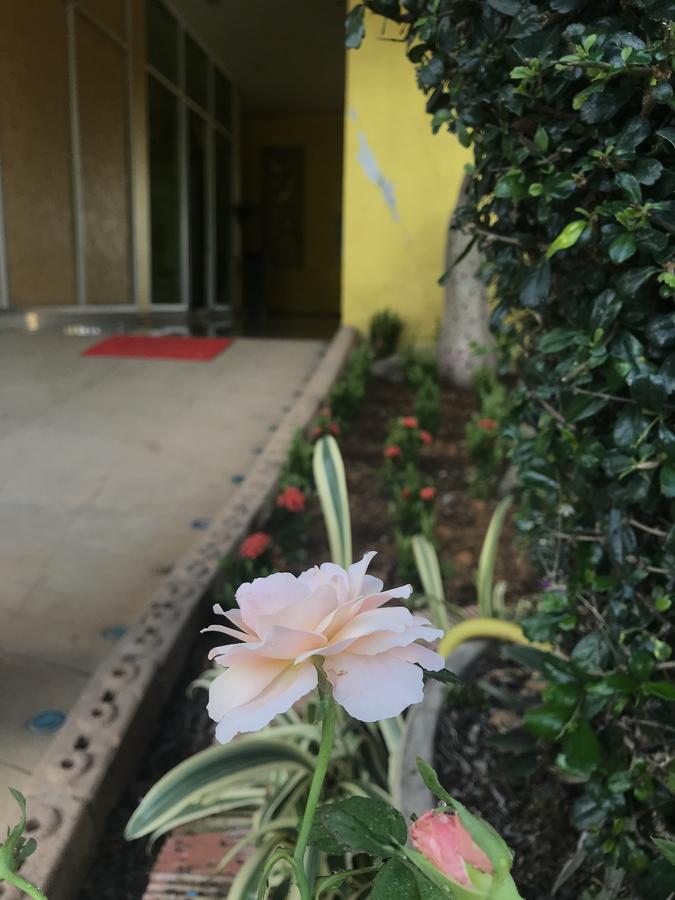 The M Bokeo Hotel Huay Xai Ngoại thất bức ảnh